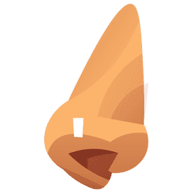 Nose profile clipart