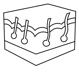 Skin cut black and white clipart