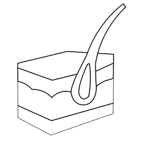 Skin hair black and white clipart