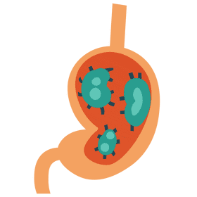 Stomach bacteria clipart
