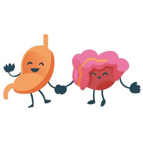 Stomach friends clipart