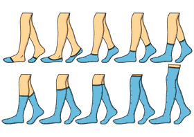 Socks vector