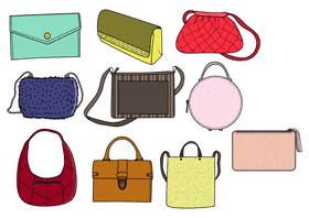 Purse vector