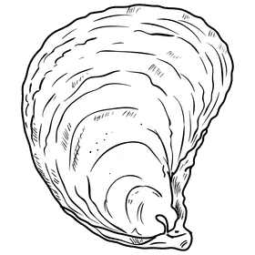Oyster black and white clipart
