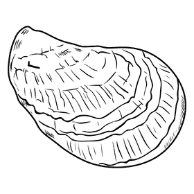 Oyster black and white clipart