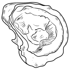 Oyster black and white clipart