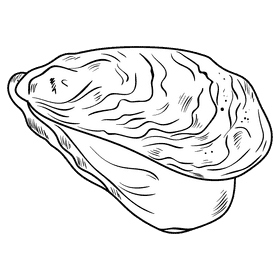 Oyster black and white clipart