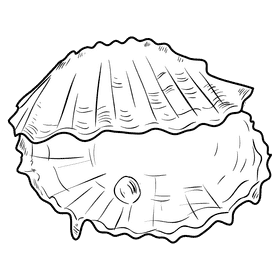Oyster black and white clipart