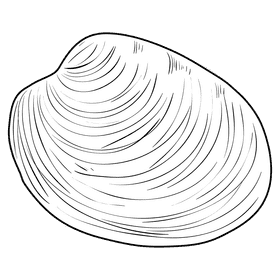 Oyster black and white clipart