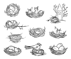 Nest black and white vector