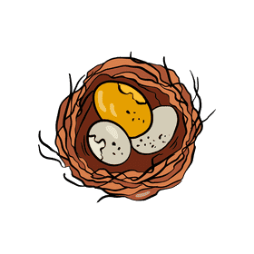 Nest clipart