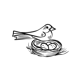 Bird Nest black and white clipart