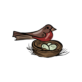 Bird Nest clipart