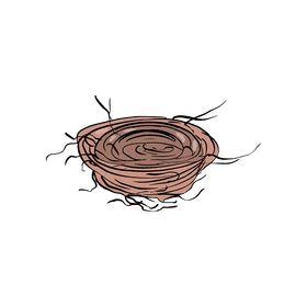 Bird Nest clipart