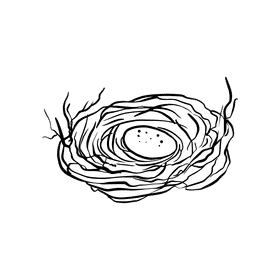 Nest black and white clipart