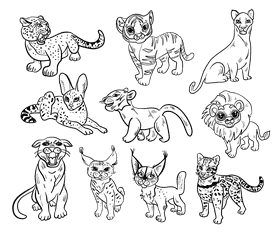 Wild cat black and white vector