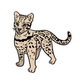 Cheetah clipart