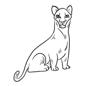 Puma black and white clipart