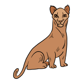 Puma clipart