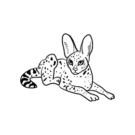 Serval black and white clipart