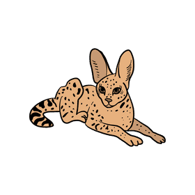 Serval clipart