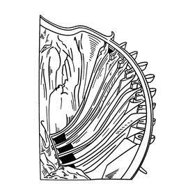 Dam black and white clipart