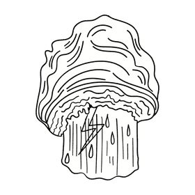 Storm black and white clipart