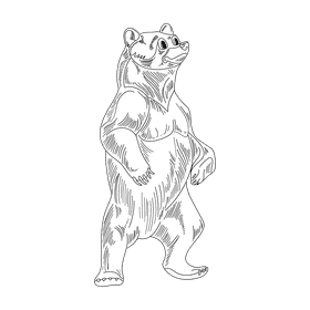 Bear black and white clipart