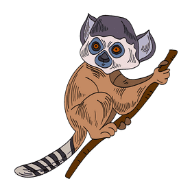 Lemur clipart