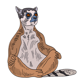 Lemur clipart