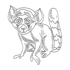 Lemur black and white clipart
