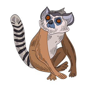 Lemur clipart