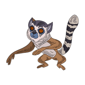 Lemur clipart