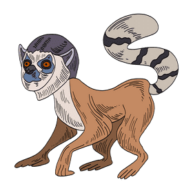 Lemur clipart