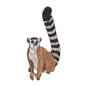 Lemur clipart