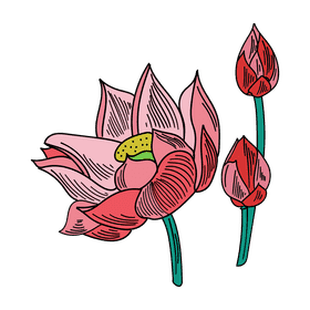 Lotus clipart