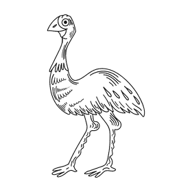 Australia Ostrich black and white clipart