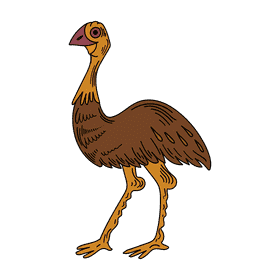Australia Ostrich clipart