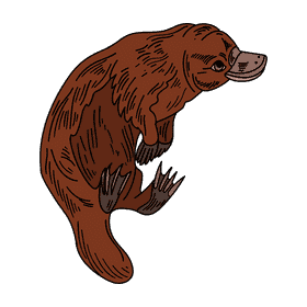 Australia Platypus clipart