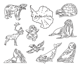 Antarctica black and white vector