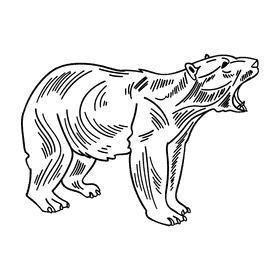 Antarctica Polar bear black and white clipart