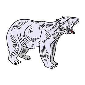 Antarctica Polar bear clipart