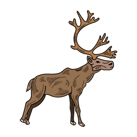 Antarctica Reindeer clipart