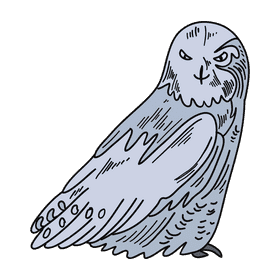 Antarctica Snowy owl clipart