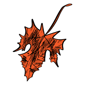 Maple leaf clipart