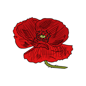 Poppies clipart