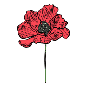 Poppies clipart