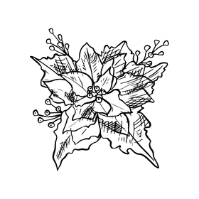 Poinsettia black and white clipart