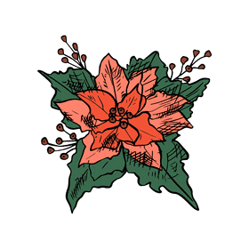 Poinsettia clipart