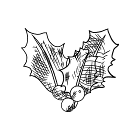 Poinsettia black and white clipart